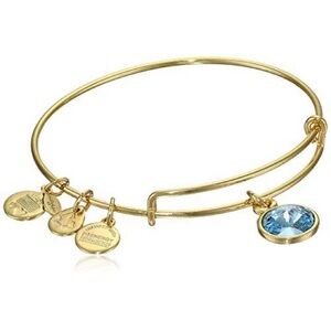 December Birthstone Bracelet